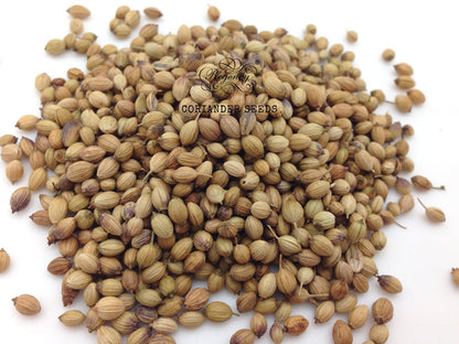 Coriander Seeds