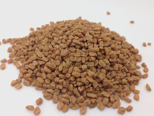 Fenugreek Seeds