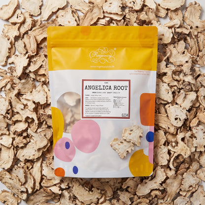 Angelica Root