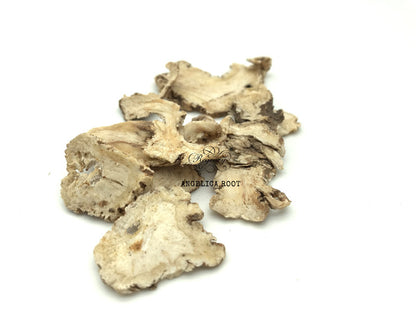 Angelica Root