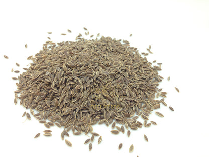 Dill Seeds