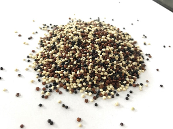 藜麥（三色，有機）